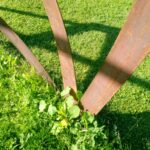 Foto Baldachin 4, Nürtingen, Beutwangsee